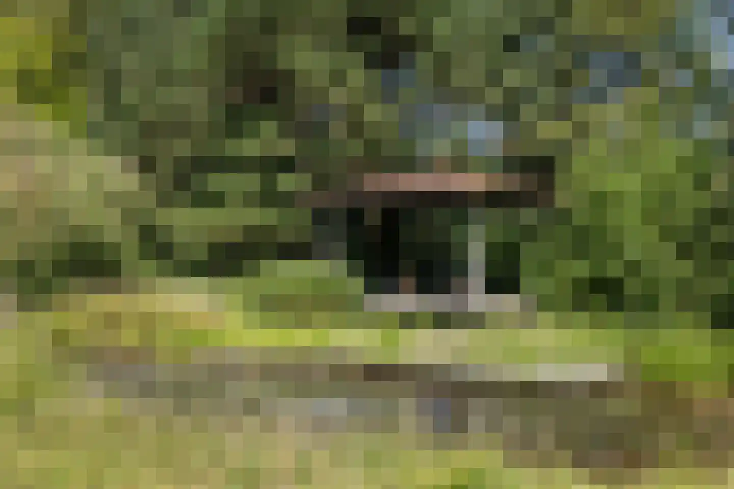 Oosterzijweg 124 Heiloo thumbnail 24