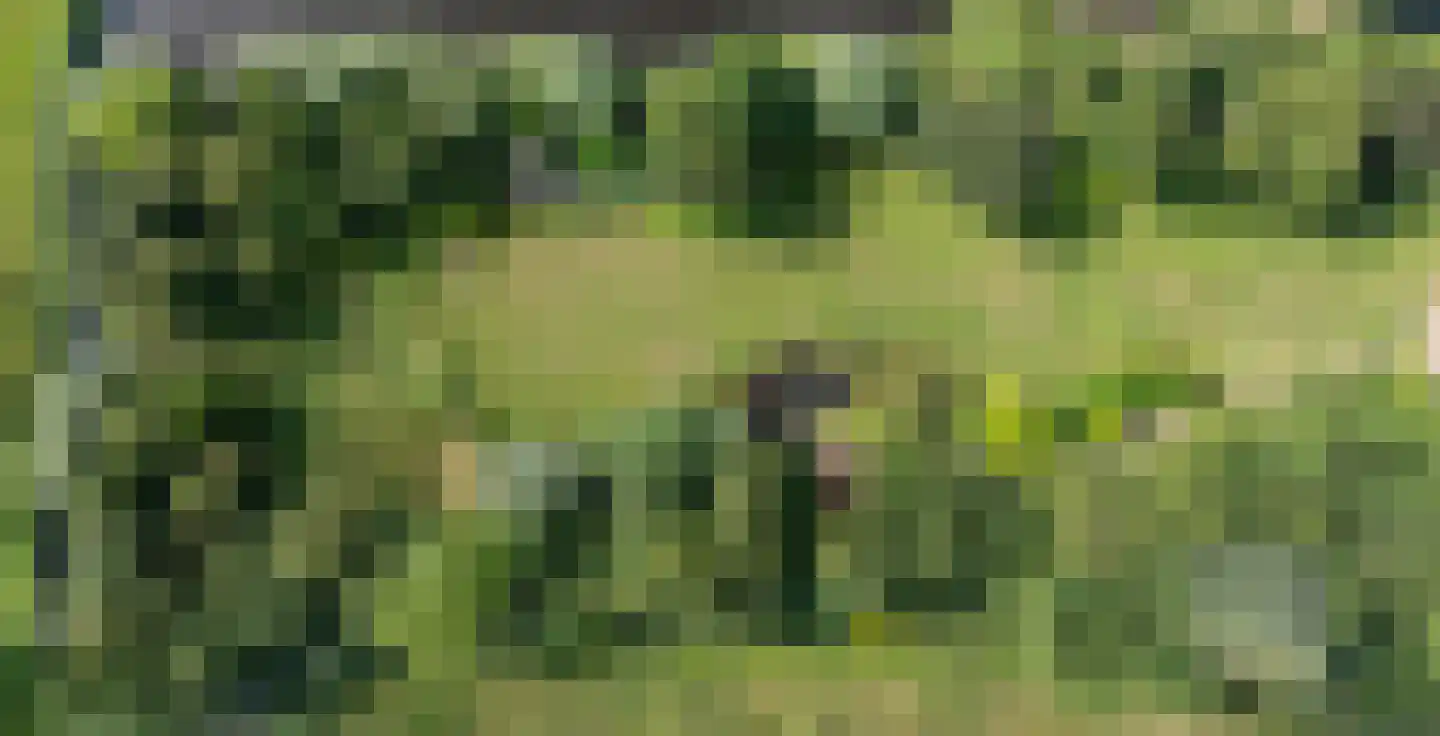 Oosterzijweg 124 Heiloo thumbnail 27