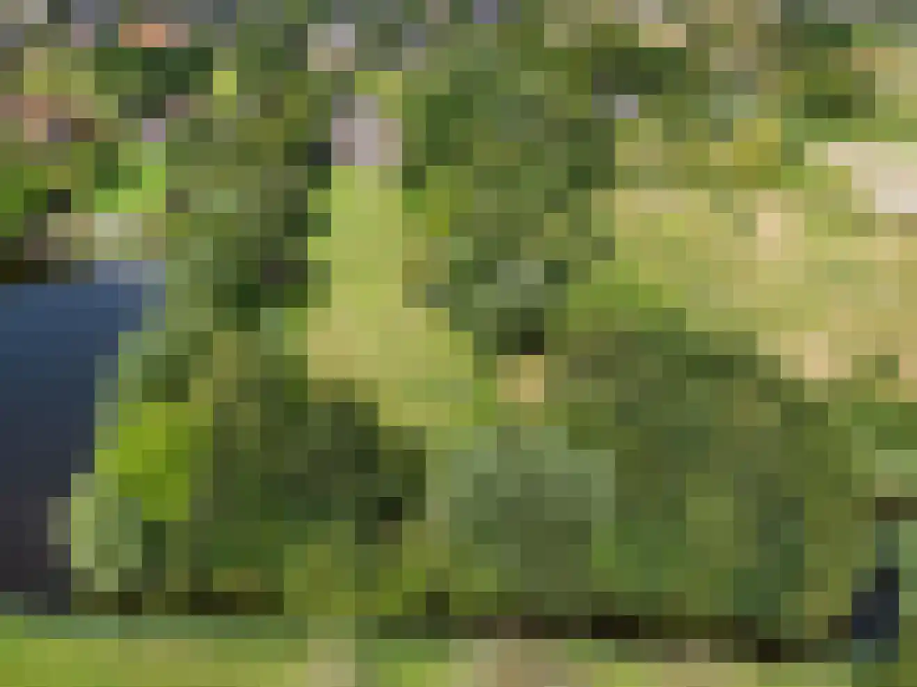 Oosterzijweg 124 Heiloo thumbnail 28