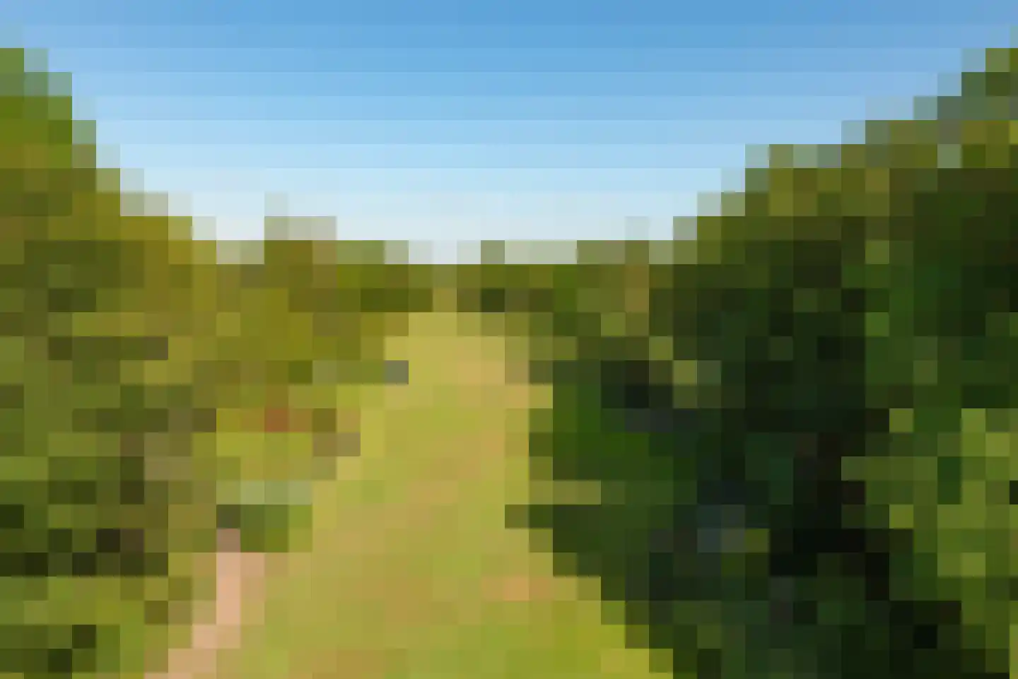 Oosterzijweg 124 Heiloo thumbnail 29