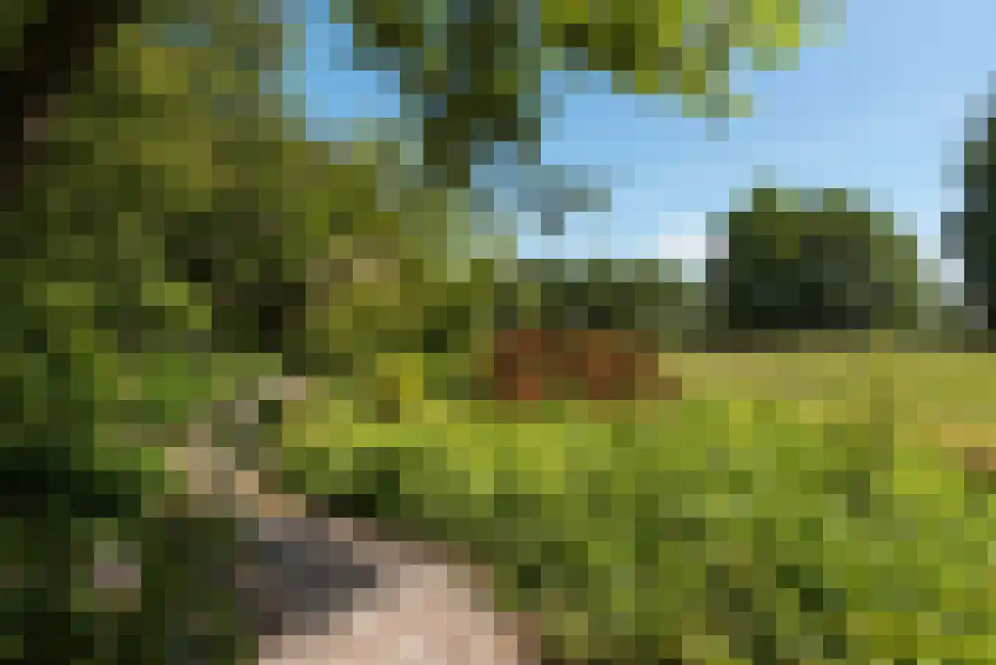Oosterzijweg 124 Heiloo thumbnail 30