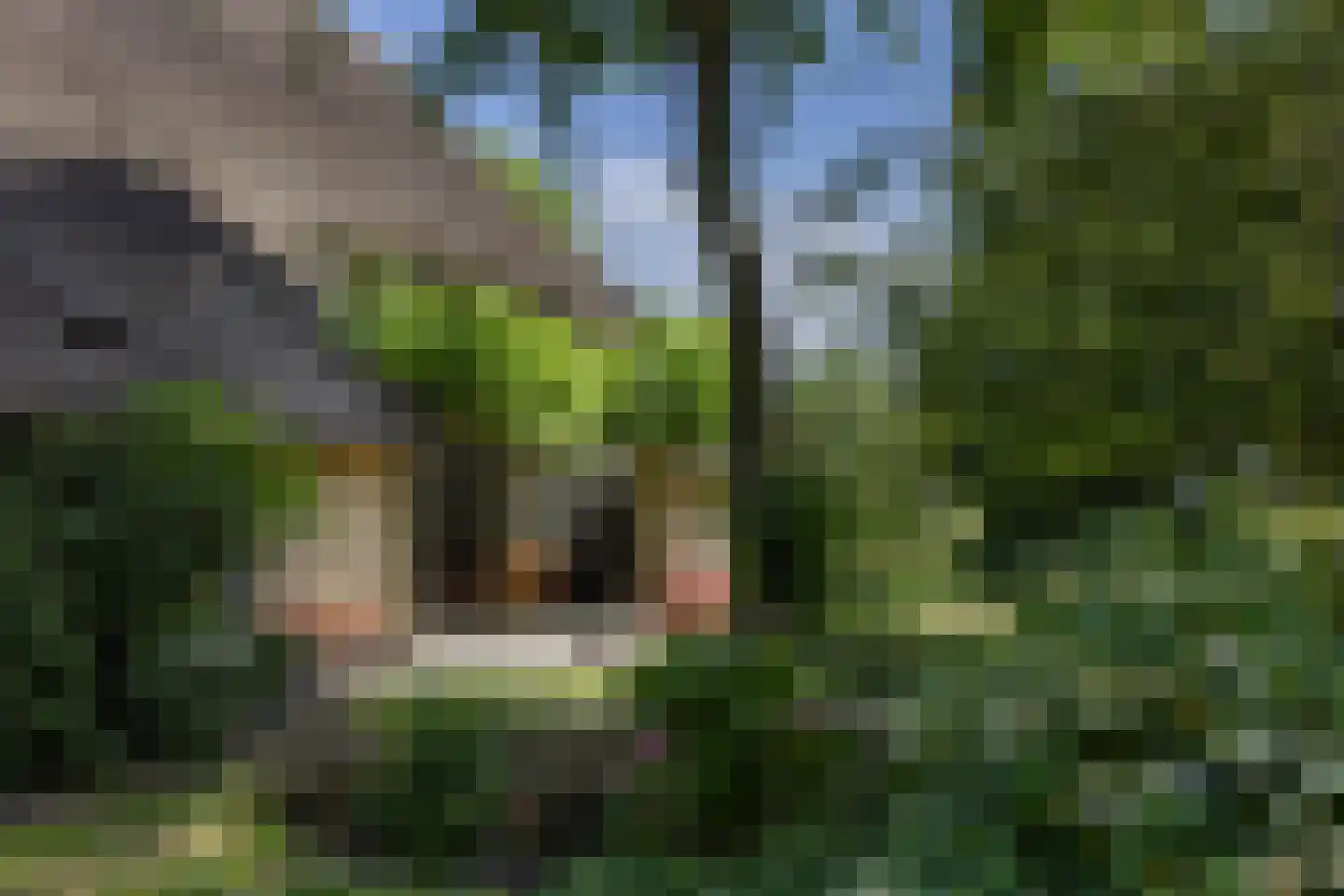 Oosterzijweg 124 Heiloo thumbnail 32