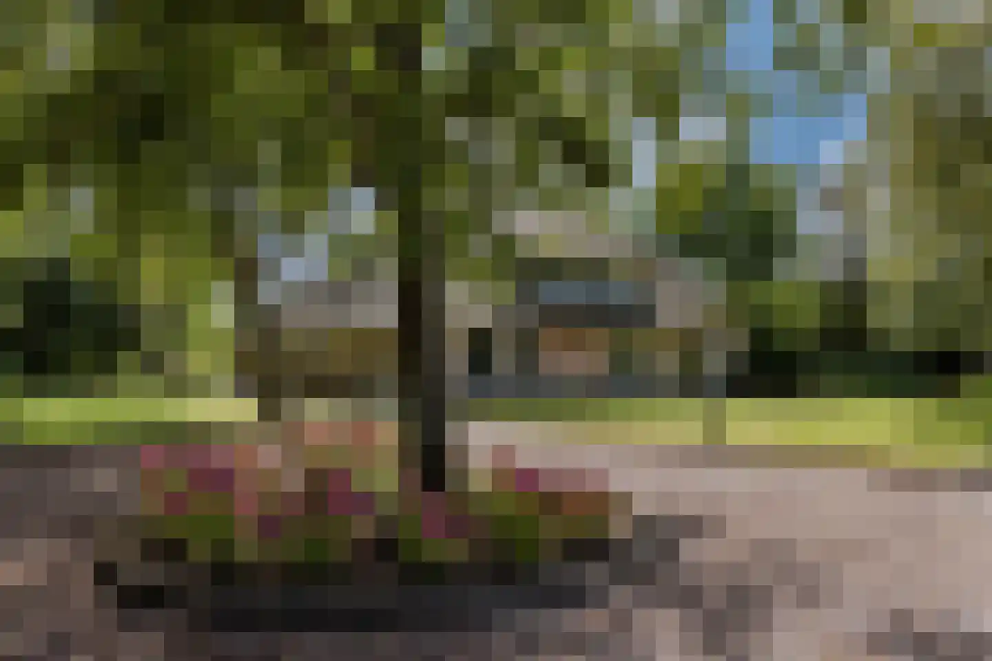 Oosterzijweg 124 Heiloo thumbnail 34