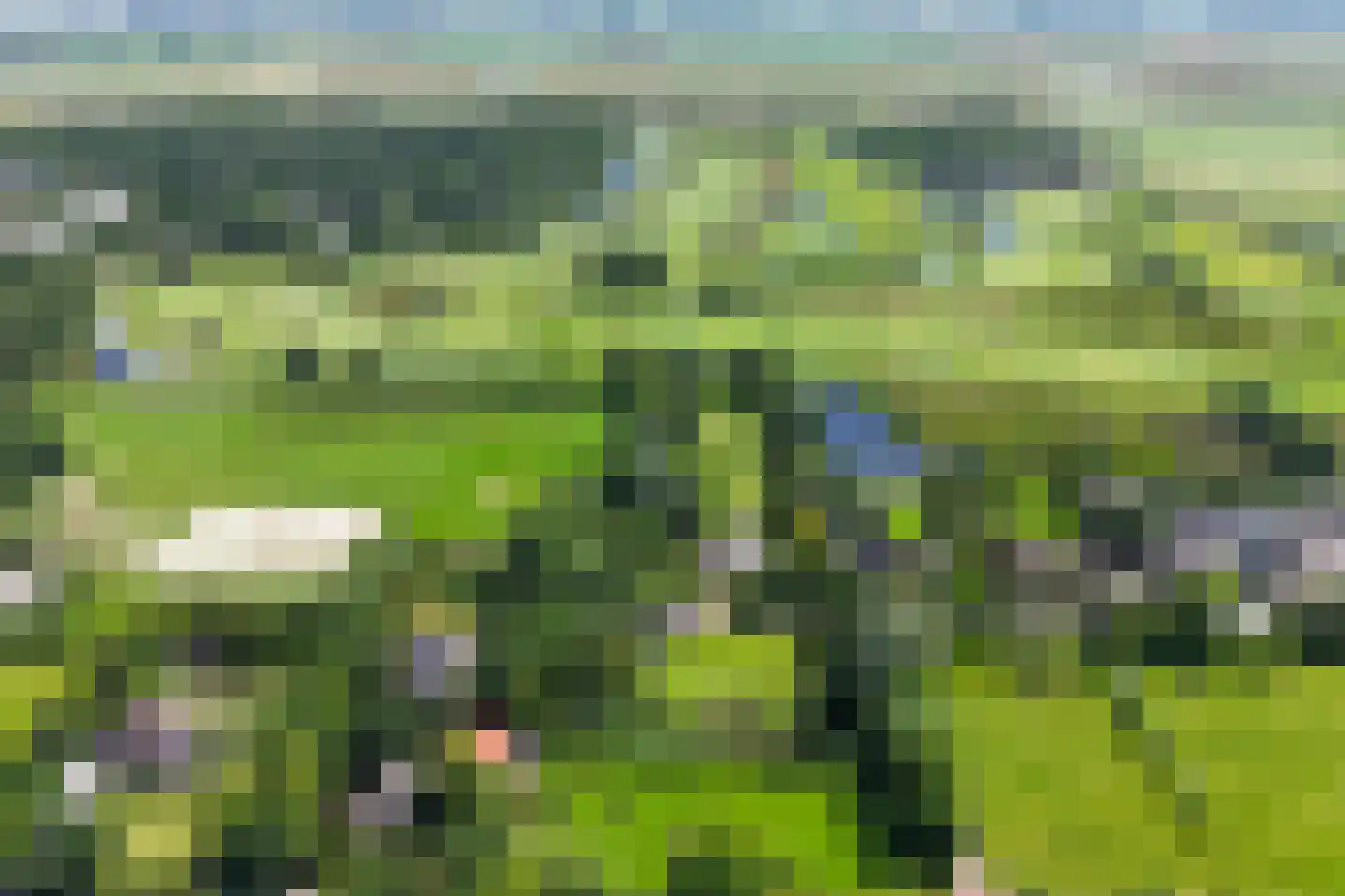 Oosterzijweg 124 Heiloo thumbnail 4