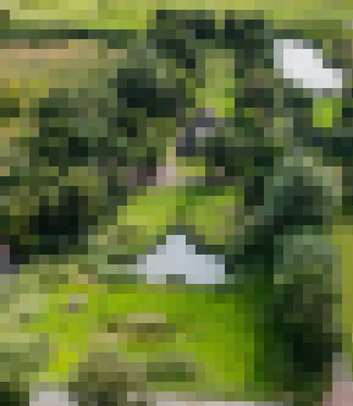 Oosterzijweg 124 Heiloo thumbnail 5