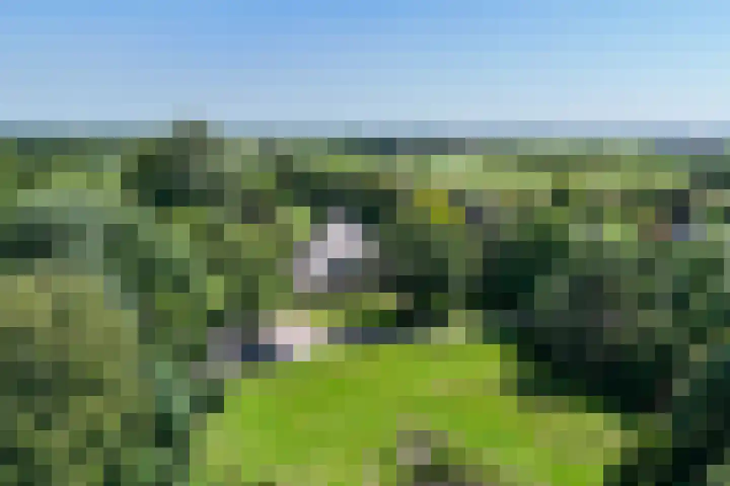 Oosterzijweg 124 Heiloo thumbnail 5