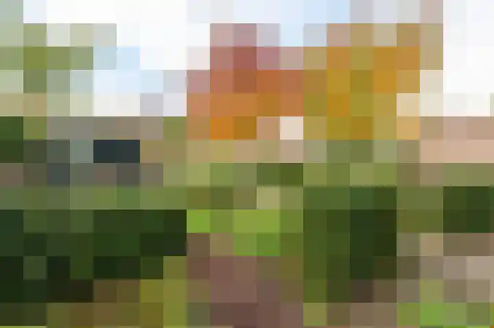 Oosterzijweg 29 c Heiloo thumbnail 25