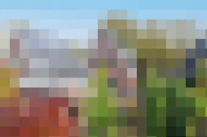 Oosterzijweg 29 c Heiloo thumbnail 27
