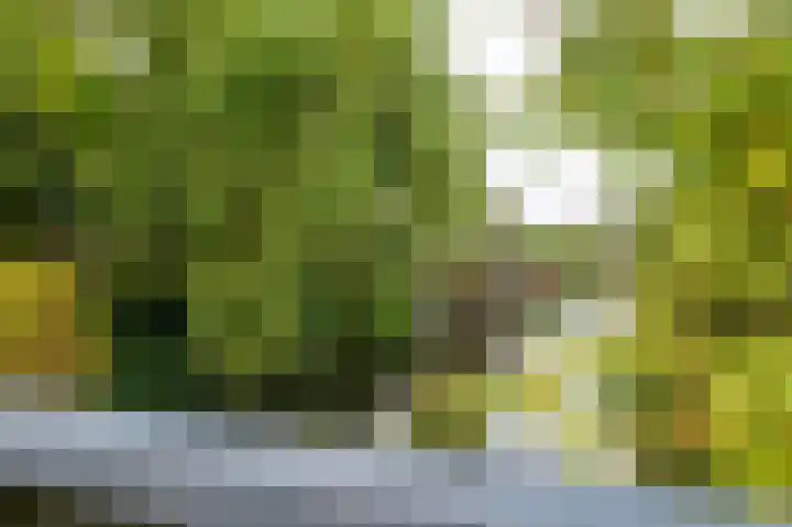 Oosterzijweg 29 c Heiloo thumbnail 48