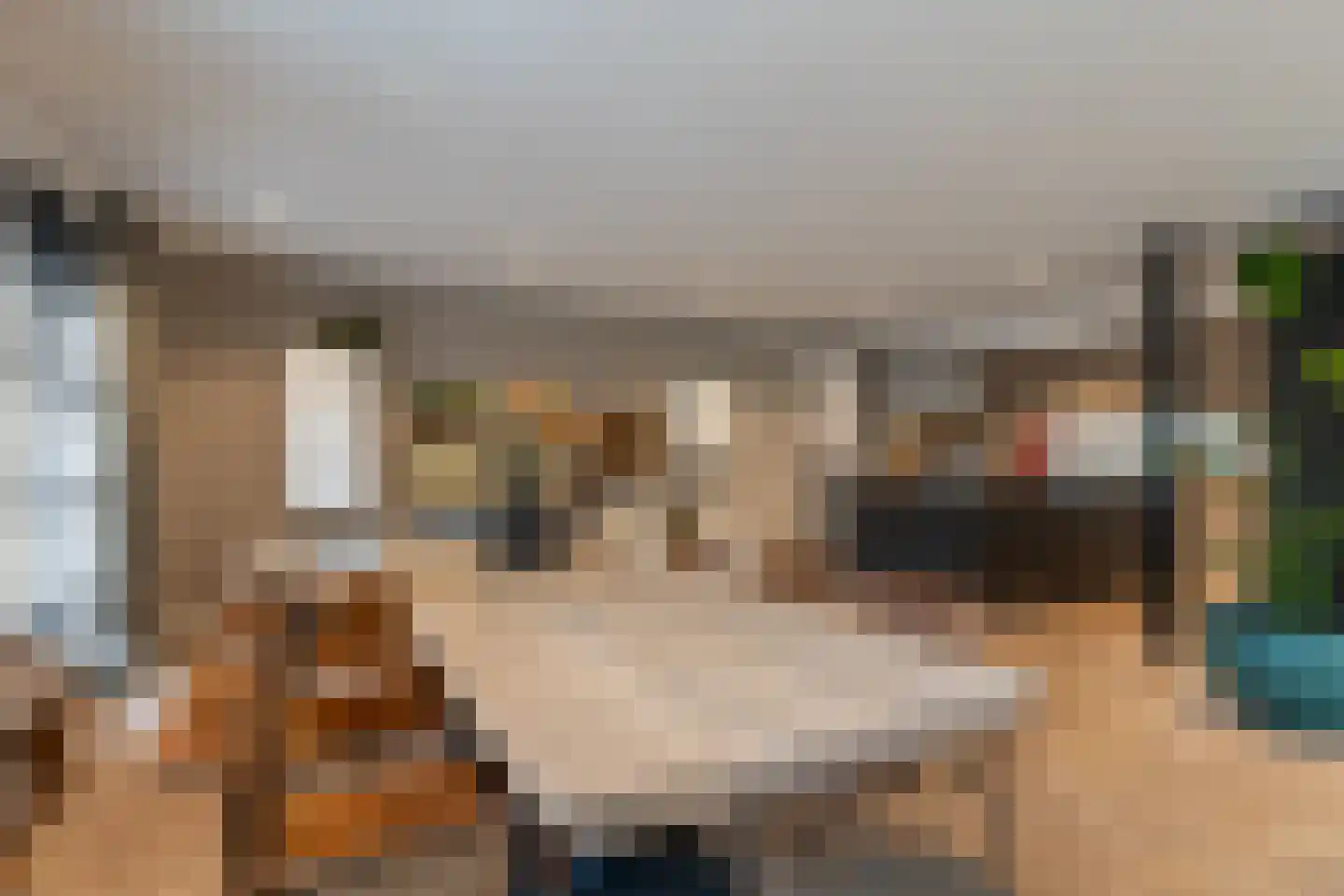 Oosterzijweg 29 Heiloo thumbnail 14