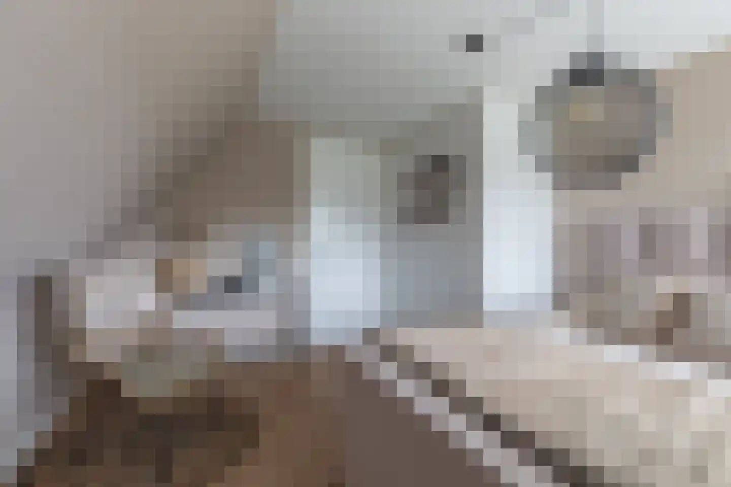 Oosterzijweg 29 Heiloo thumbnail 30