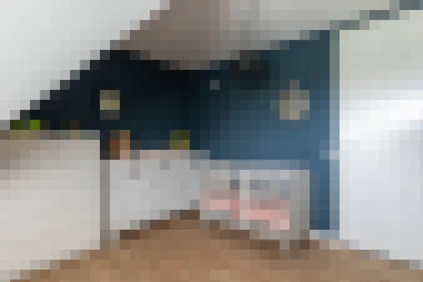 Oosterzijweg 29 Heiloo thumbnail 35