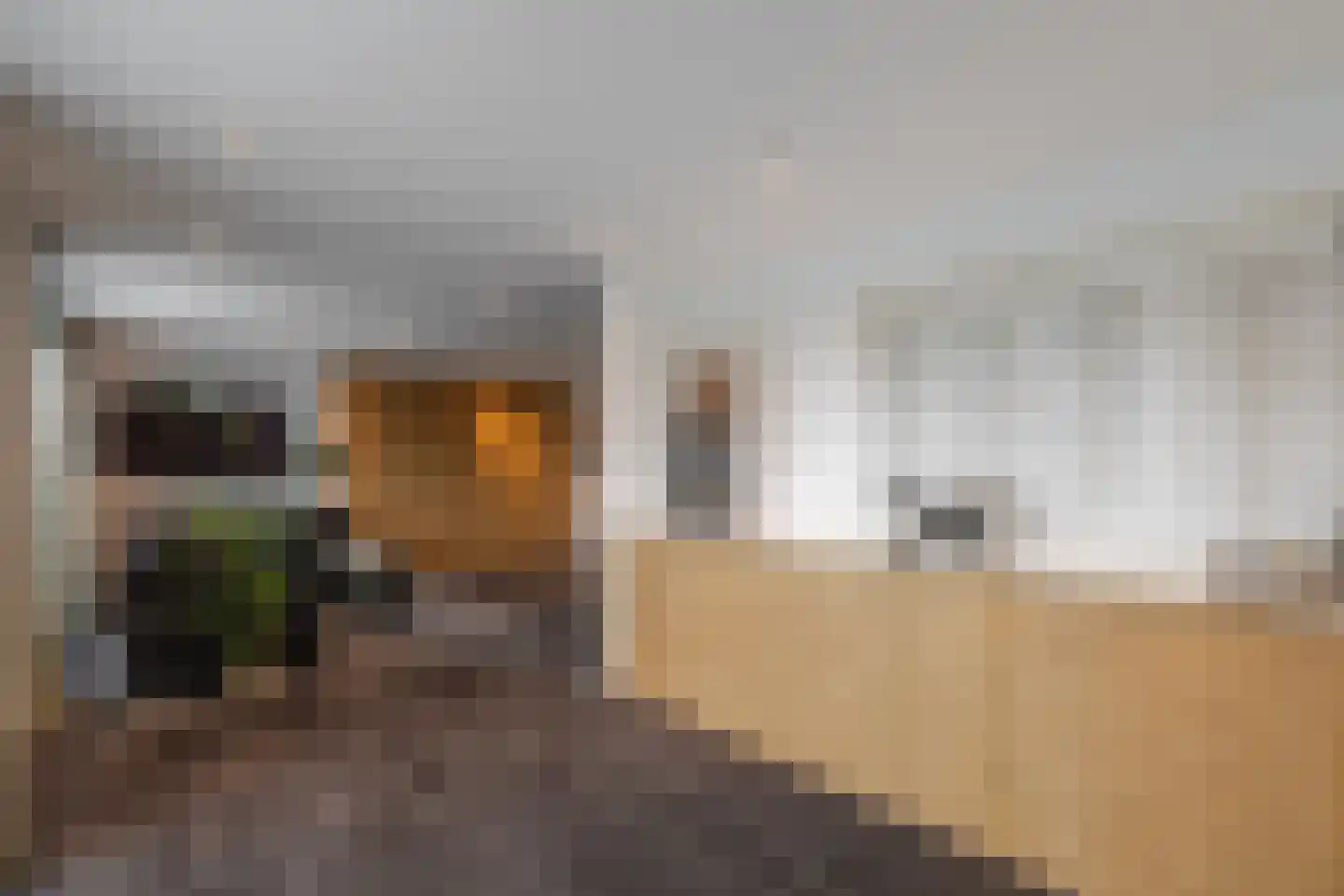 Oosterzijweg 29 Heiloo thumbnail 45