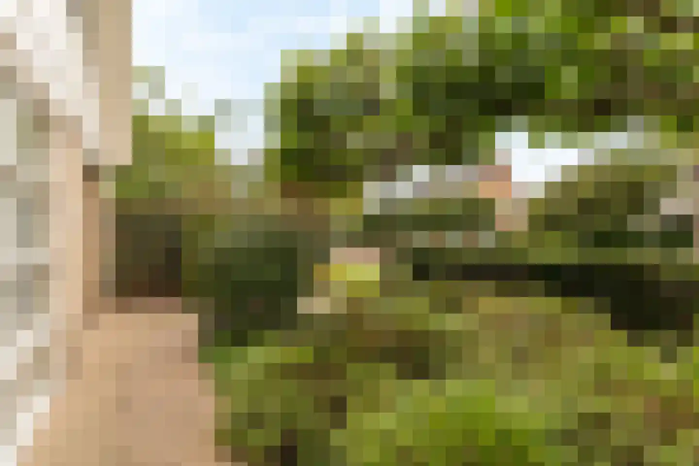 Oosterzijweg 29 Heiloo thumbnail 54