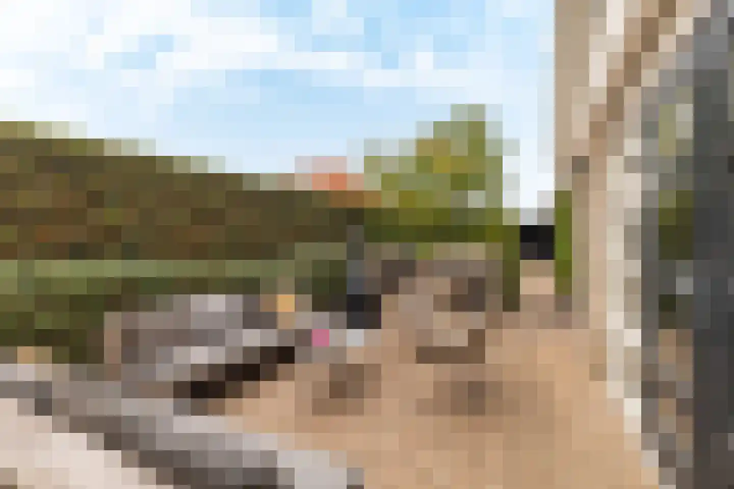 Oosterzijweg 29 Heiloo thumbnail 55