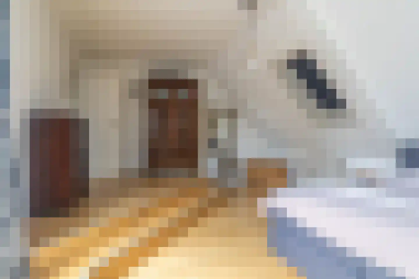 Oosterzijweg 54 Heiloo thumbnail 22