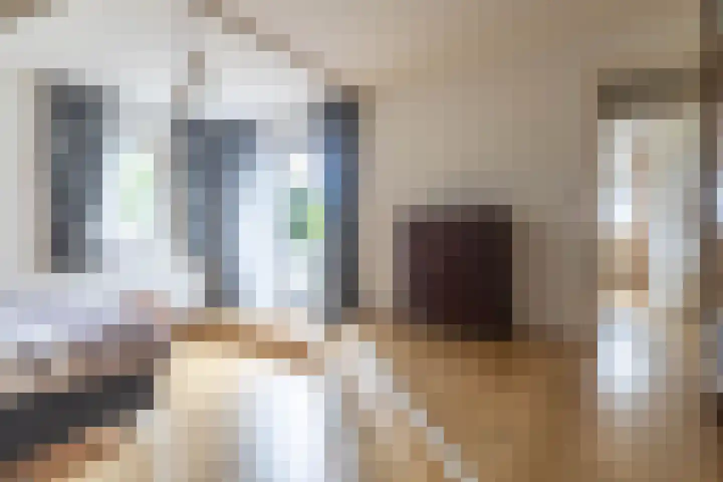 Oosterzijweg 54 Heiloo thumbnail 23