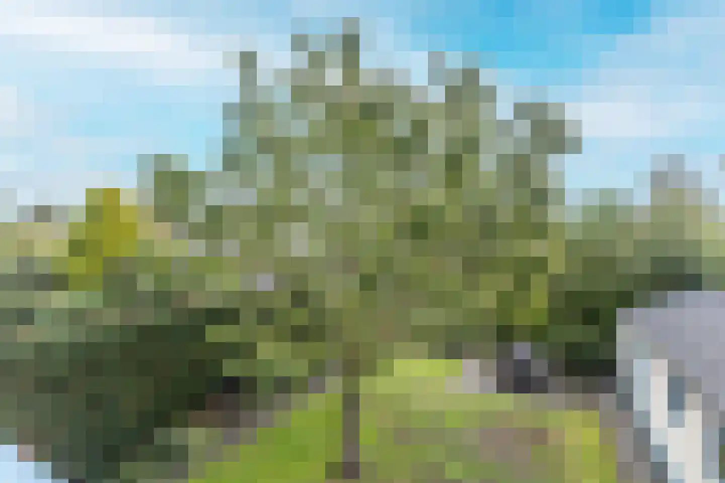 Oosterzijweg 54 Heiloo thumbnail 39