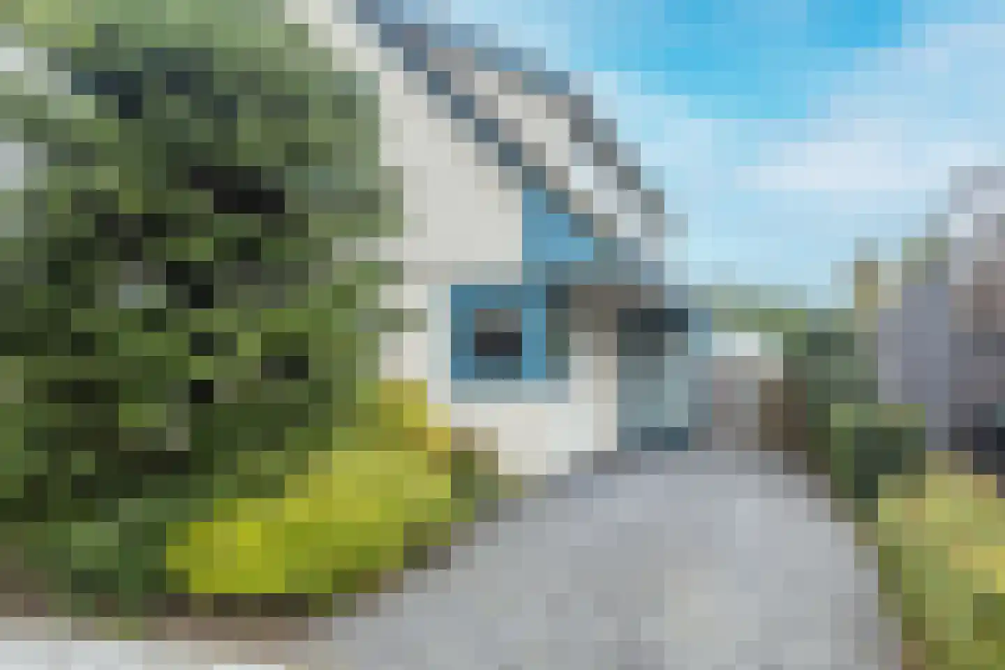 Oosterzijweg 54 Heiloo thumbnail 45