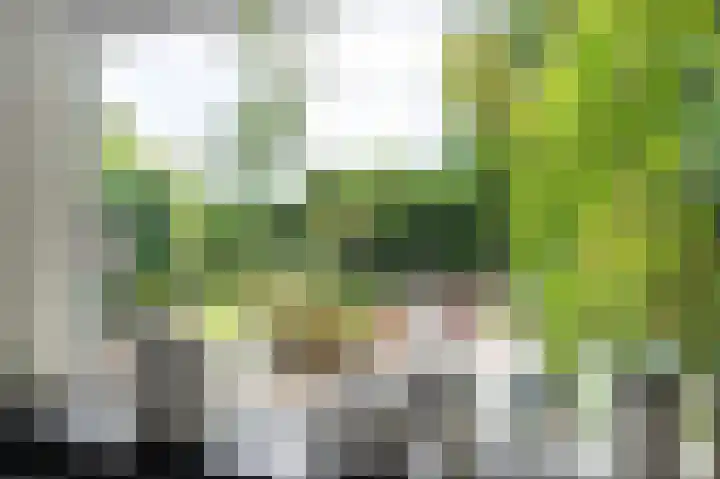 Oosterzijweg 9 a Heiloo thumbnail 16