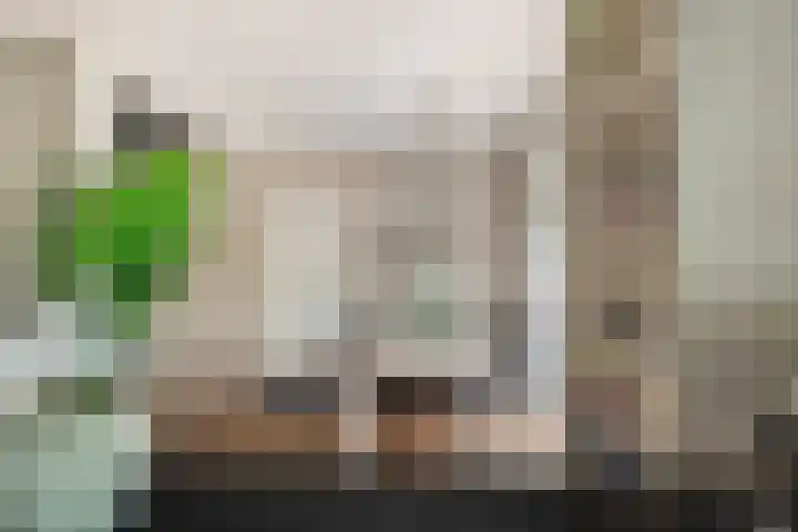Oosterzijweg 9 a Heiloo thumbnail 17