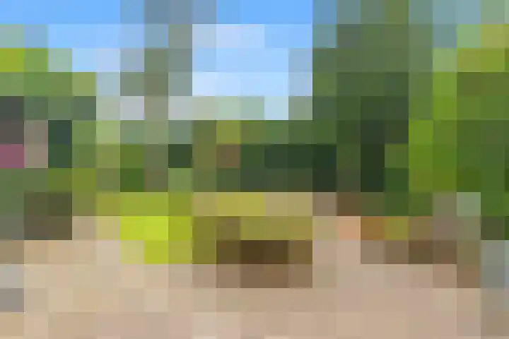 Oosterzijweg 9 a Heiloo thumbnail 21