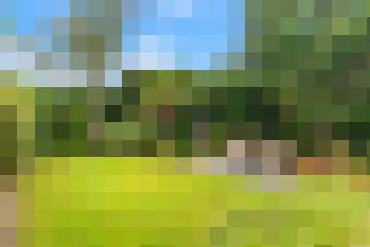 Oosterzijweg 9 a Heiloo thumbnail 22