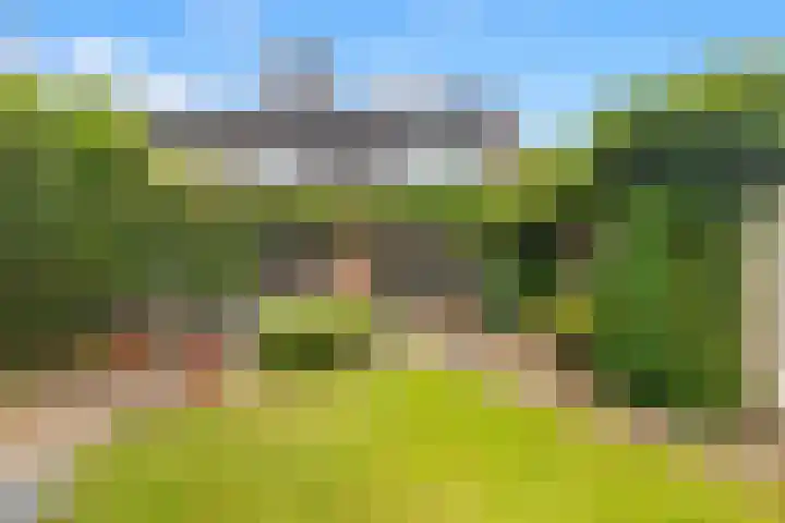 Oosterzijweg 9 a Heiloo thumbnail 23