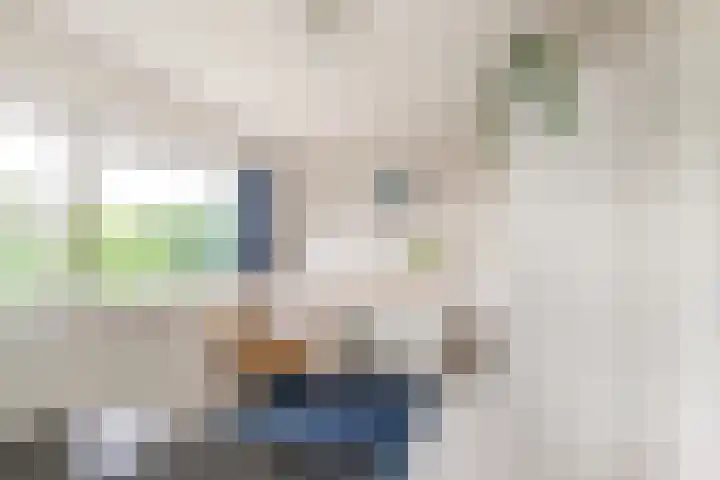 Oosterzijweg 9 a Heiloo thumbnail 27