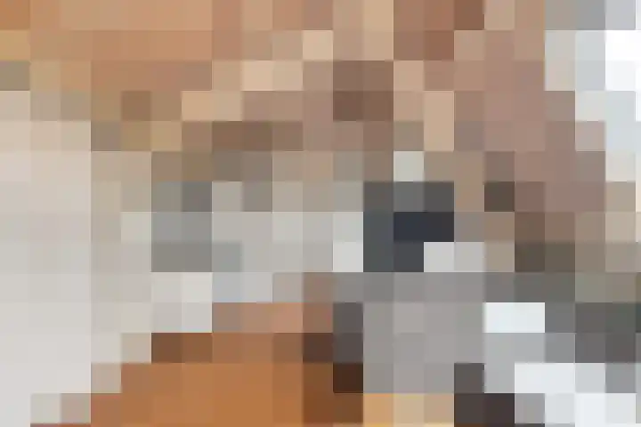 Oosterzijweg 9 a Heiloo thumbnail 33