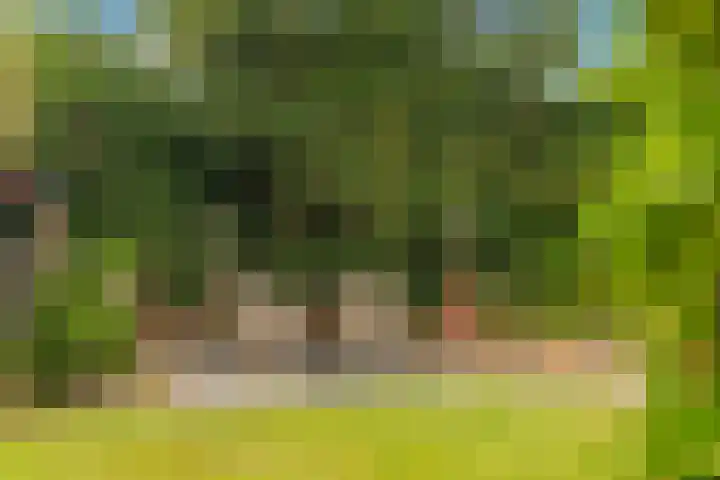 Oosterzijweg 9 a Heiloo thumbnail 38