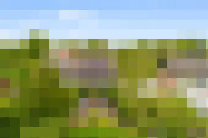 Oosterzijweg 9 a Heiloo thumbnail 4