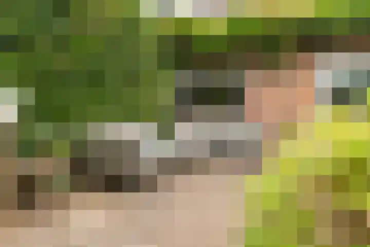 Oosterzijweg 9 a Heiloo thumbnail 40