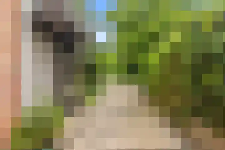 Oosterzijweg 9 a Heiloo thumbnail 42