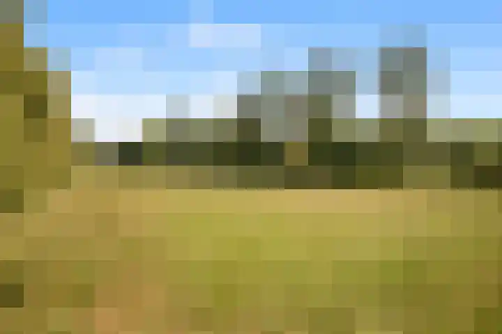 Oosterzijweg 9 a Heiloo thumbnail 43