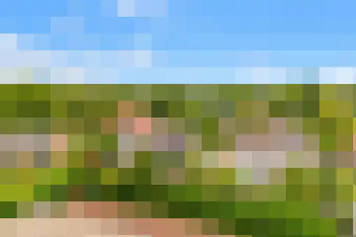Oosterzijweg 9 a Heiloo thumbnail 44