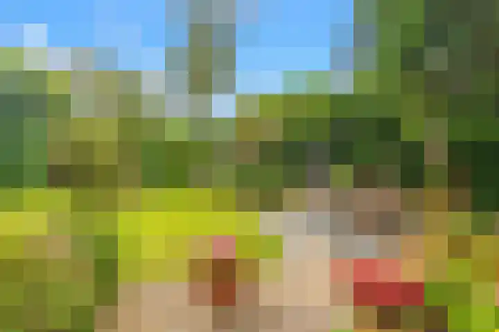 Oosterzijweg 9 a Heiloo thumbnail 5