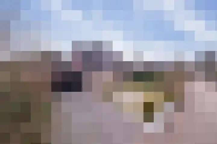 Oosterzoom 10 in Peize