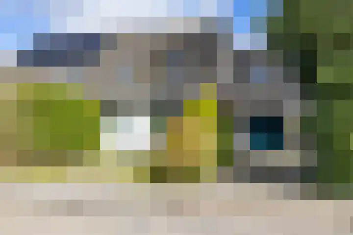 Oosterzoom 59 Peize