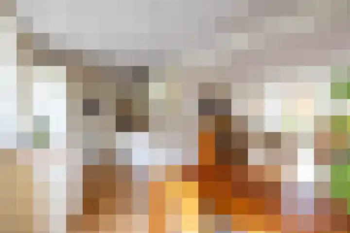 Oosterzoom 59 Peize thumbnail 20