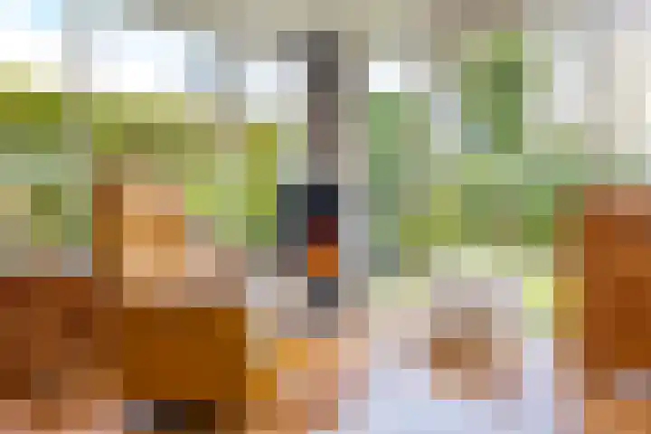 Oosterzoom 59 Peize thumbnail 27