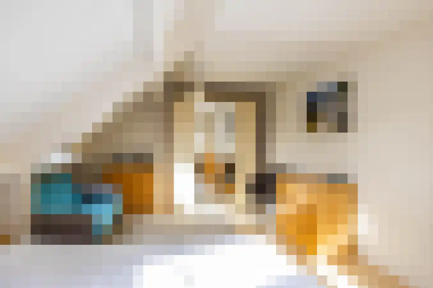 Oosterzoom 59 Peize thumbnail 35