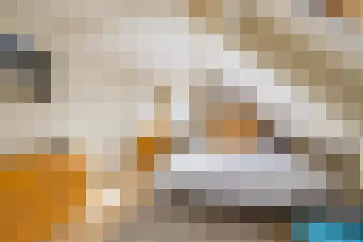 Oosterzoom 59 Peize thumbnail 36