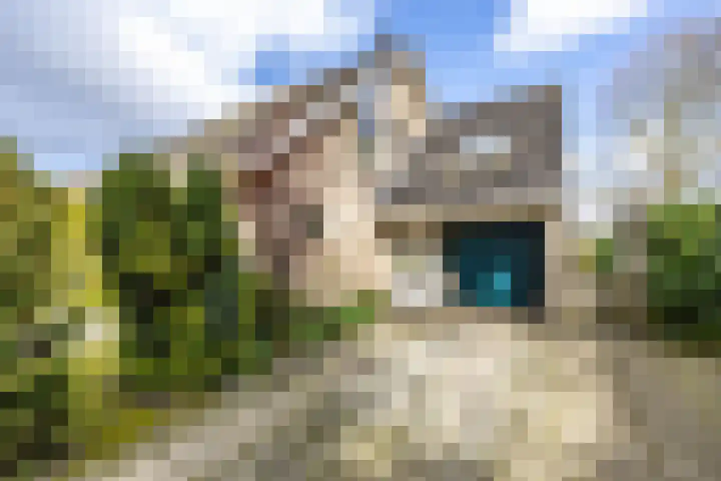Oosterzoom 59 Peize thumbnail 5