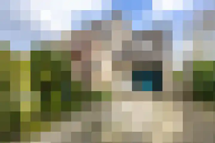 Oosterzoom 59 Peize thumbnail 5