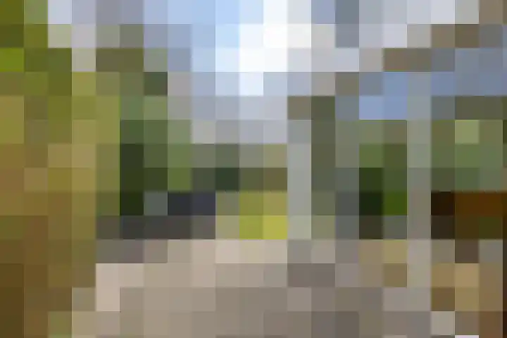 Oosterzoom 59 Peize thumbnail 54