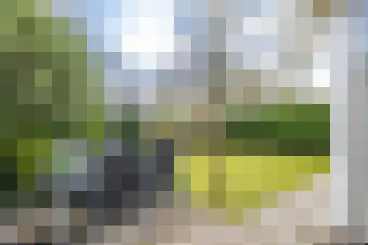 Oosterzoom 59 Peize thumbnail 55