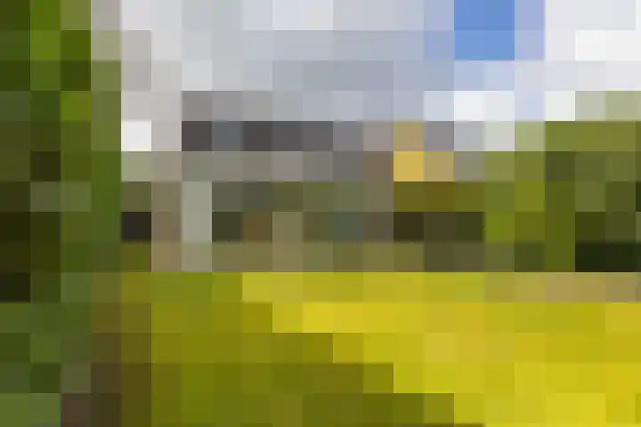 Oosterzoom 59 Peize thumbnail 57
