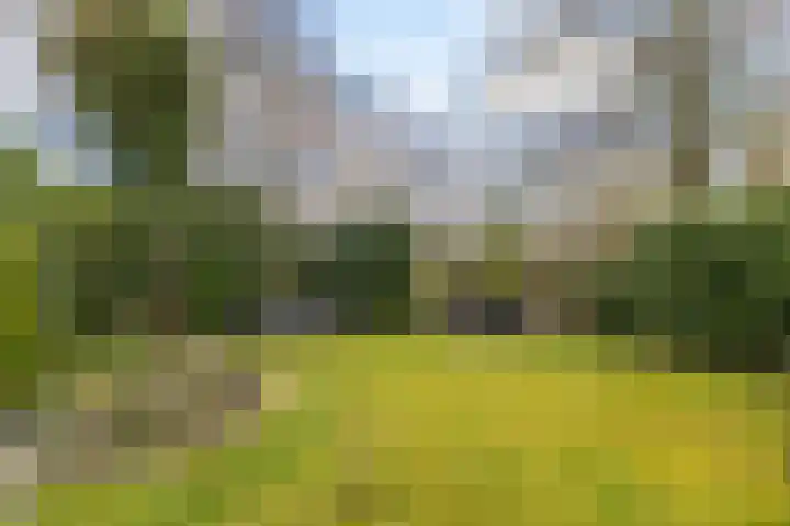 Oosterzoom 59 Peize thumbnail 58