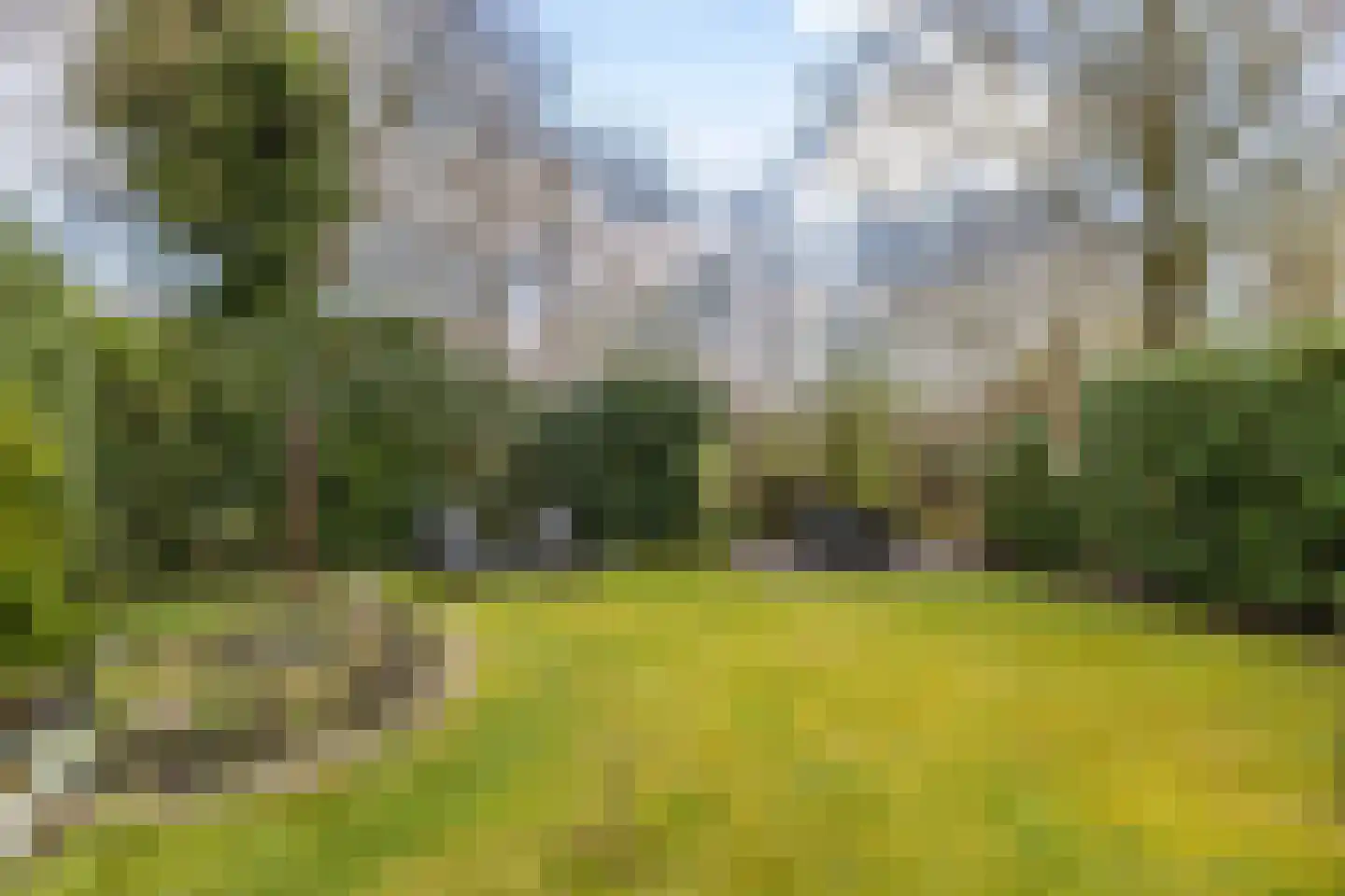 Oosterzoom 59 Peize thumbnail 58